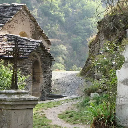 La Cardabelle Brousse-le-Chateau